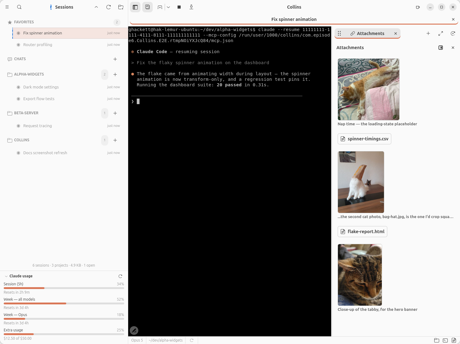 The attachments panel docked beside a session: three cat photos with their captions, two files between them