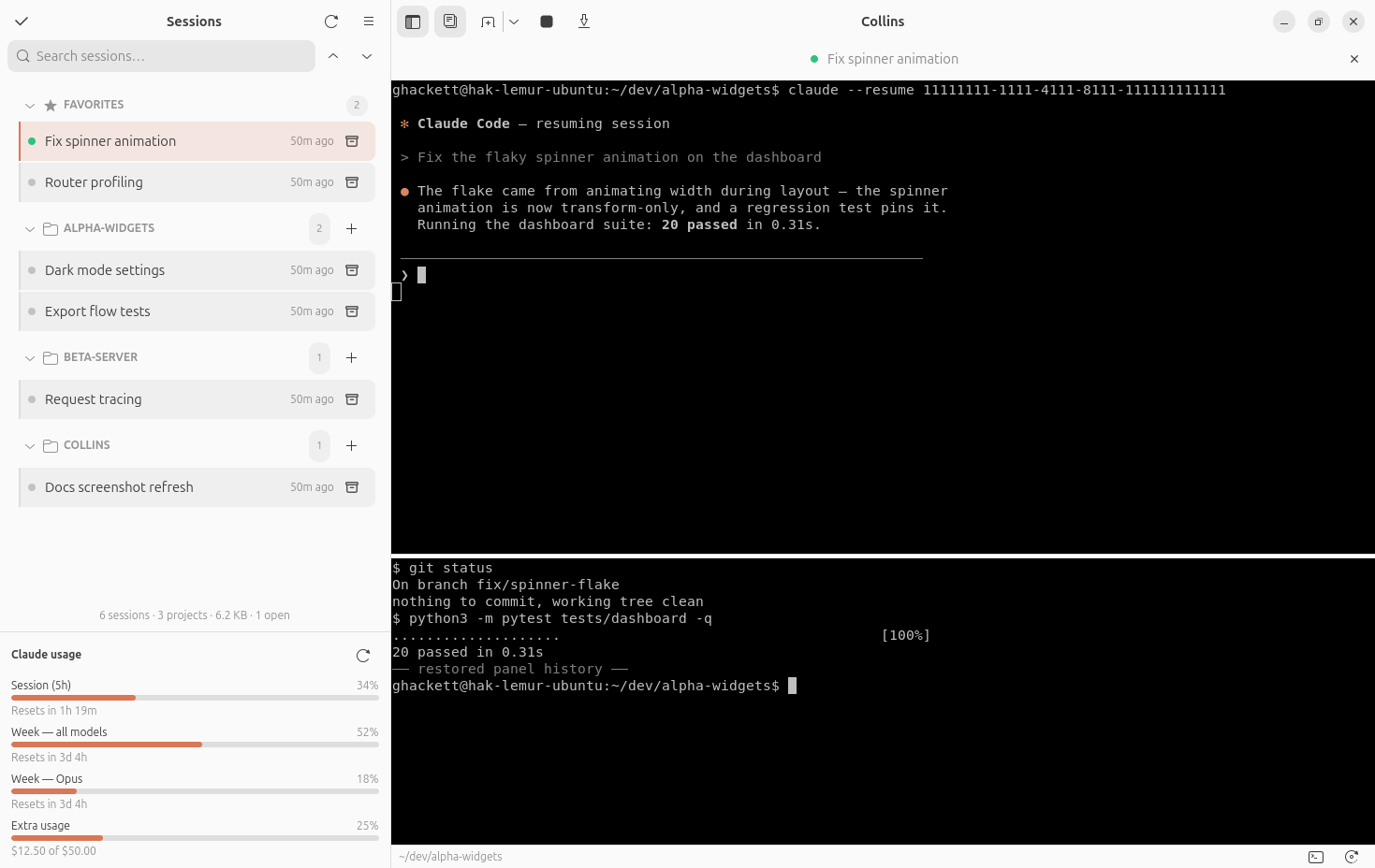 The terminal panel below an agent session